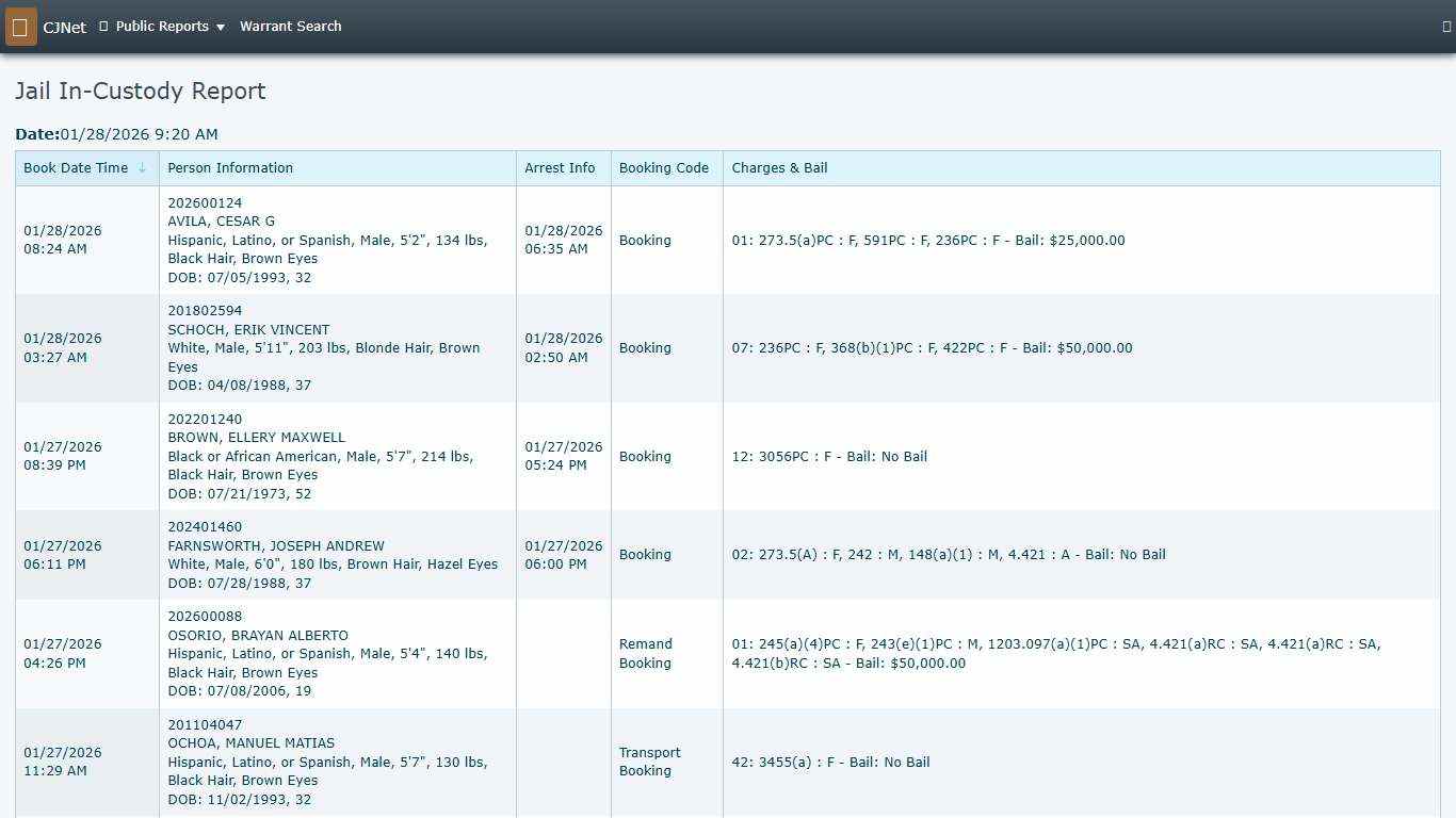 Jail In-Custody Report CJNet